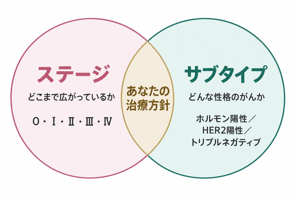 ステージ（どこまで広がっているか）とサブタイプ（どんな性格のがんか）の2つの円が重なり、真ん中に「あなたの治療方針」