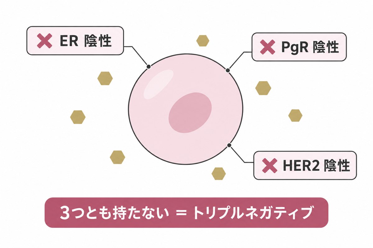 トリプルネガティブの細胞の模式図。表面に口もアンテナも無く、ER・PgR・HER2の3つとも陰性