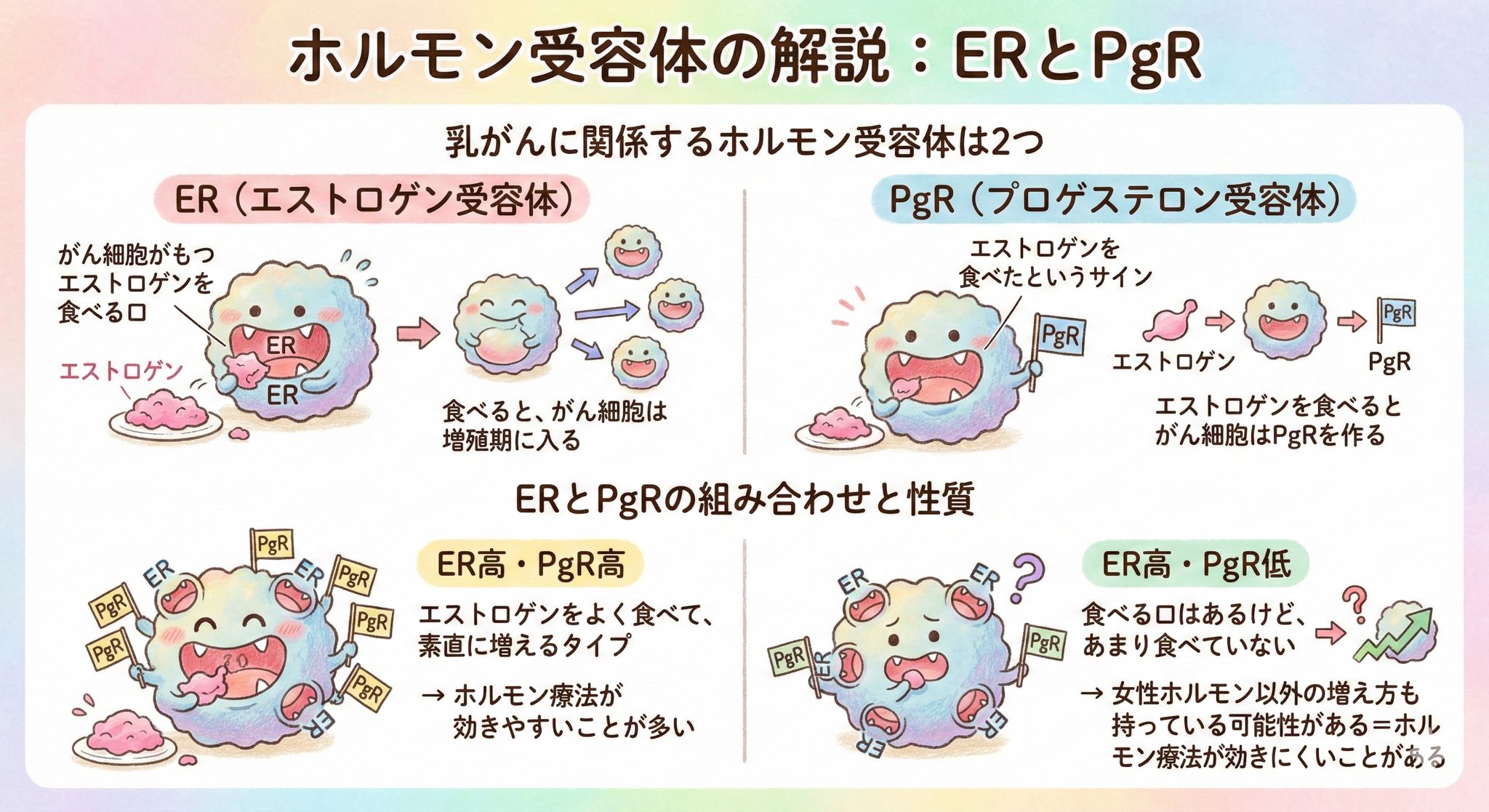 ホルモン受容体の解説：ERとPgR