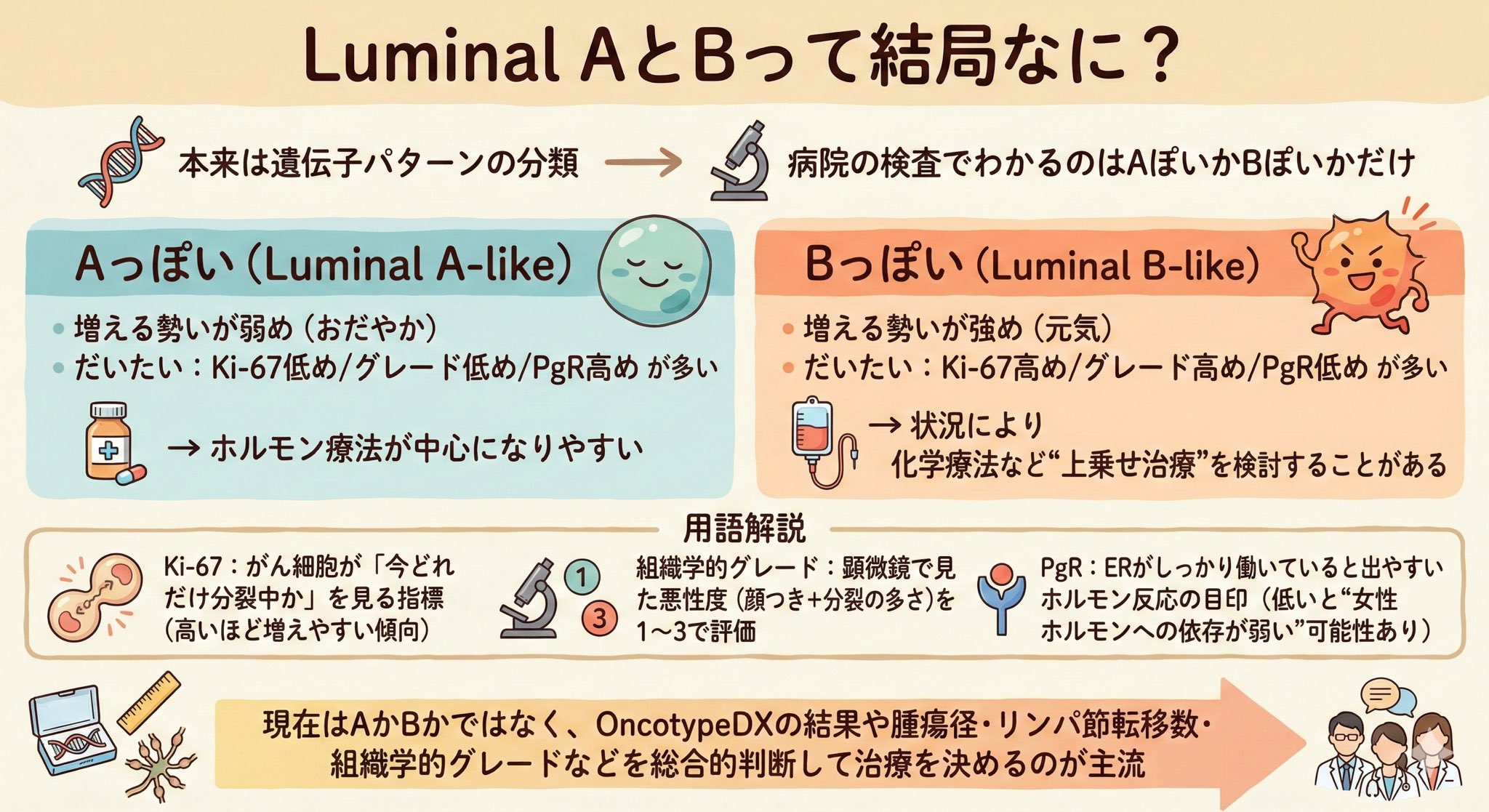 ホルモン陽性HER2陰性乳がんのナゾ分類！Luminal AとBって結局なに？