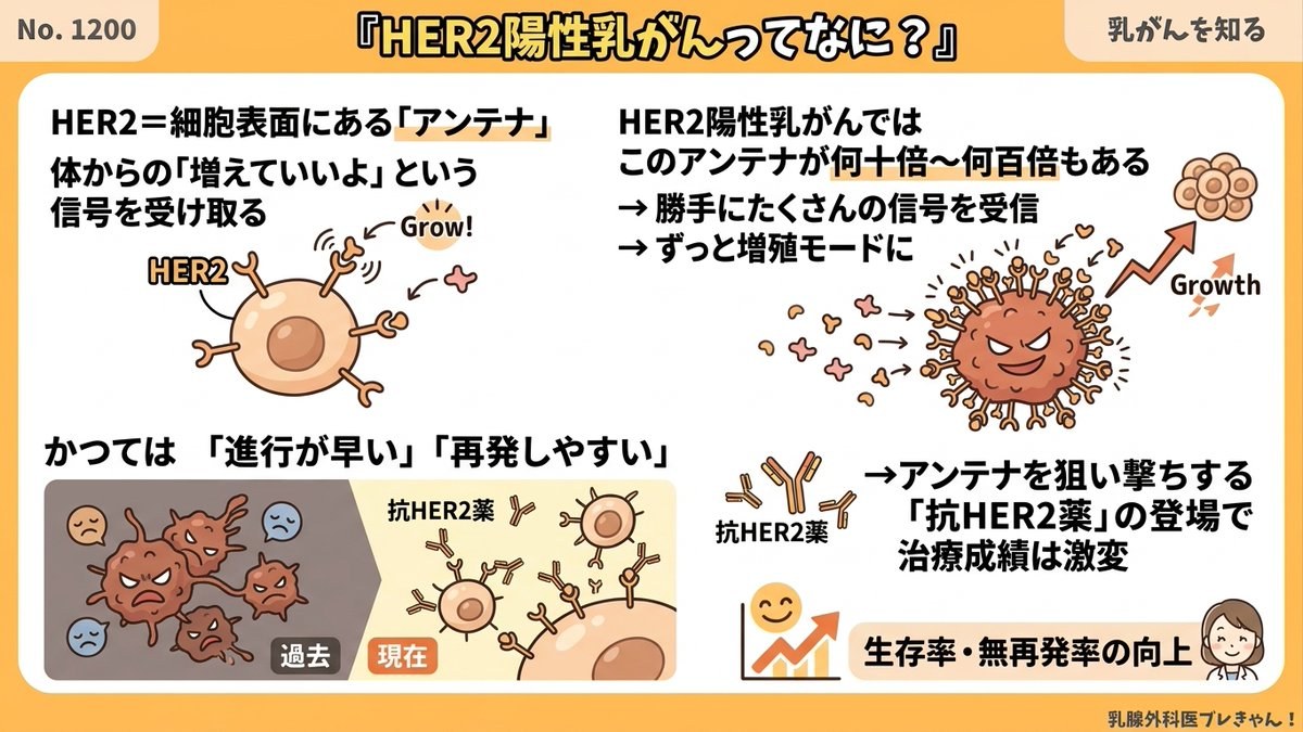 HER2陽性乳がんってなに？増殖命令をキャッチするアンテナのお話