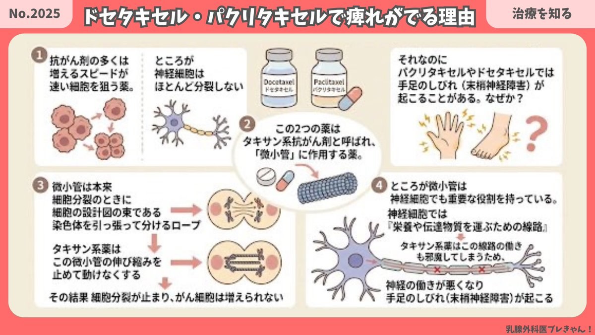 ドセタキセル・パクリタキセルでしびれが出るのはなんで？