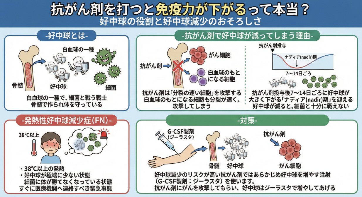 抗がん剤を打つと免疫力が下がるって本当？