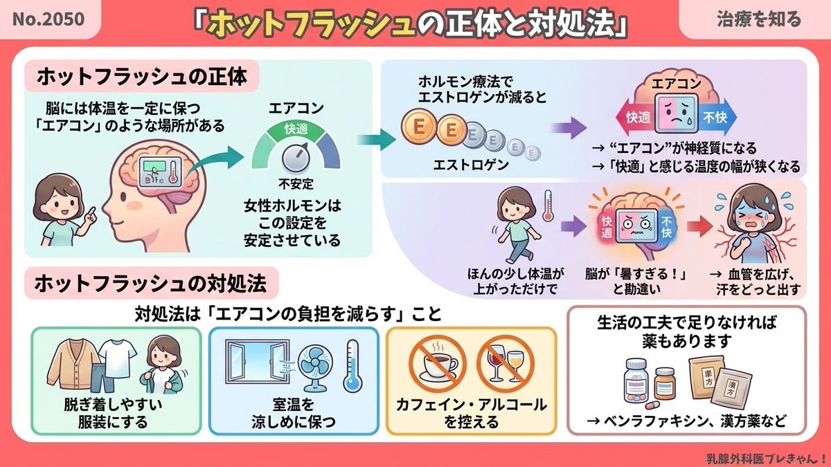 ホットフラッシュの正体と対処法